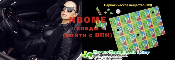 спиды Каменногорск
