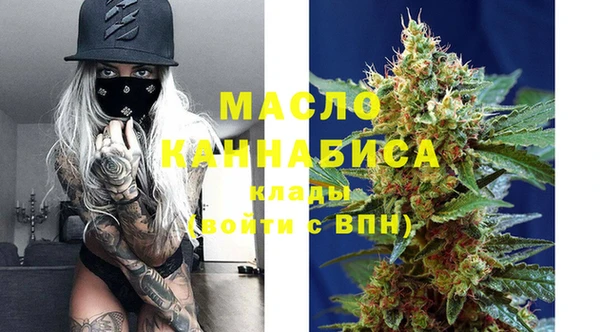 молекула духа Каменка