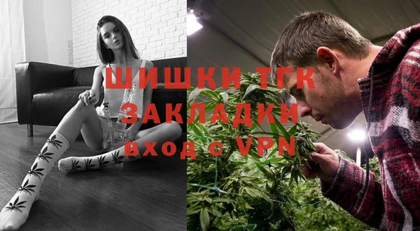 молекула духа Каменка