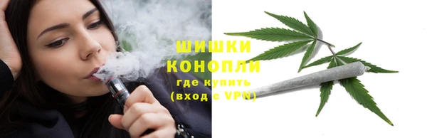 молекула духа Каменка