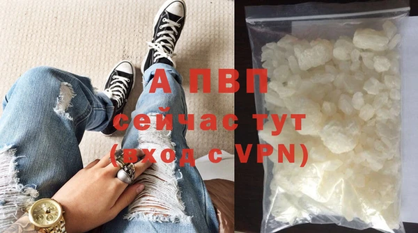 молекула духа Каменка