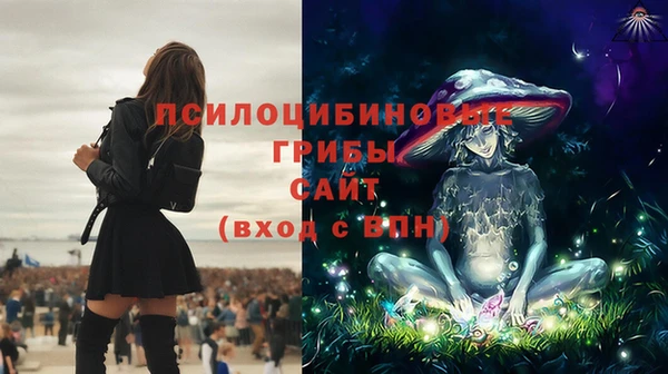 стафф Чердынь