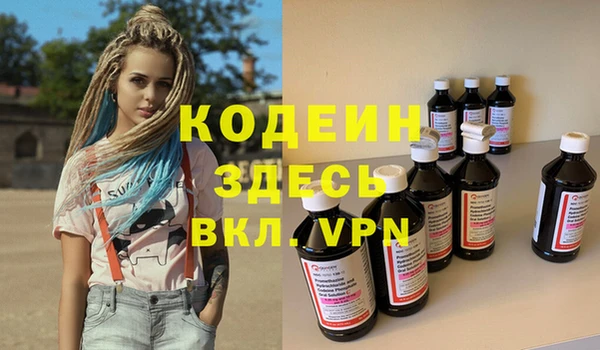 молекула духа Каменка