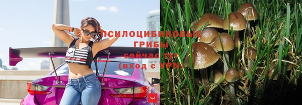 спиды Каменногорск