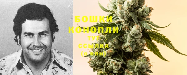 молекула духа Каменка