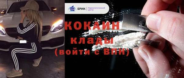 спиды Каменногорск